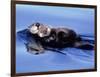 Sea Otter with Offspring-Lynn M^ Stone-Framed Photographic Print