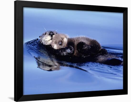 Sea Otter with Offspring-Lynn M^ Stone-Framed Photographic Print