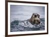 Sea Otter with Pup in Kukak Bay-Paul Souders-Framed Photographic Print