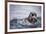 Sea Otter with Pup in Kukak Bay-Paul Souders-Framed Photographic Print