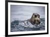 Sea Otter with Pup in Kukak Bay-Paul Souders-Framed Photographic Print