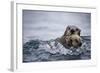 Sea Otter with Pup in Kukak Bay-Paul Souders-Framed Photographic Print