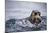 Sea Otter with Pup in Kukak Bay-Paul Souders-Mounted Photographic Print