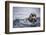 Sea Otter with Pup in Kukak Bay-Paul Souders-Framed Photographic Print