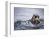 Sea Otter with Pup in Kukak Bay-Paul Souders-Framed Photographic Print