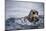 Sea Otter with Pup in Kukak Bay-Paul Souders-Mounted Photographic Print