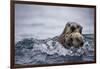 Sea Otter with Pup in Kukak Bay-Paul Souders-Framed Photographic Print