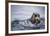 Sea Otter with Pup in Kukak Bay-Paul Souders-Framed Photographic Print