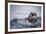 Sea Otter with Pup in Kukak Bay-Paul Souders-Framed Photographic Print