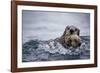 Sea Otter with Pup in Kukak Bay-Paul Souders-Framed Photographic Print