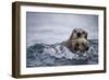 Sea Otter with Pup in Kukak Bay-Paul Souders-Framed Photographic Print