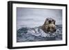 Sea Otter with Pup in Kukak Bay-Paul Souders-Framed Photographic Print