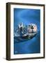 Sea Otter-Lantern Press-Framed Art Print