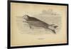 Sea Otter-null-Framed Art Print