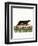 Sea Otter-null-Framed Giclee Print