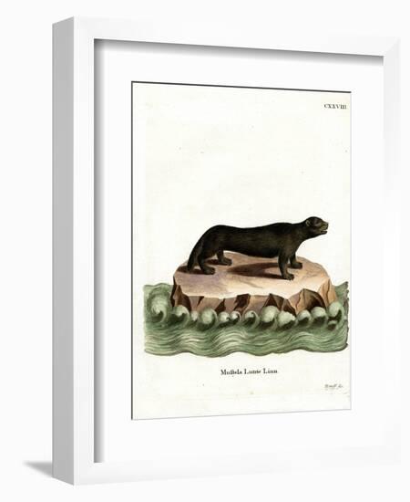 Sea Otter-null-Framed Giclee Print