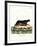 Sea Otter-null-Framed Giclee Print