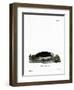 Sea Otter-null-Framed Premium Giclee Print