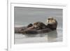 Sea Otters, Mother with Pup-Ken Archer-Framed Photographic Print