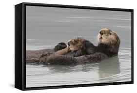 Sea Otters, Mother with Pup-Ken Archer-Framed Stretched Canvas