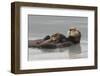 Sea Otters, Mother with Pup-Ken Archer-Framed Photographic Print