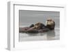 Sea Otters, Mother with Pup-Ken Archer-Framed Photographic Print