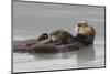 Sea Otters, Mother with Pup-Ken Archer-Mounted Photographic Print