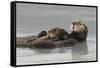 Sea Otters, Mother with Pup-Ken Archer-Framed Stretched Canvas