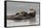 Sea Otters, Mother with Pup-Ken Archer-Framed Stretched Canvas