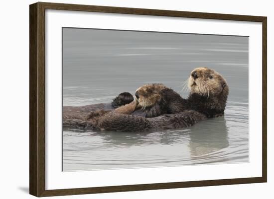 Sea Otters, Mother with Pup-Ken Archer-Framed Photographic Print