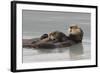 Sea Otters, Mother with Pup-Ken Archer-Framed Photographic Print