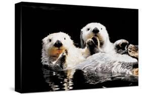 Sea Otters-null-Stretched Canvas