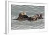 Sea Otters-Ken Archer-Framed Photographic Print