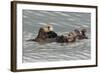 Sea Otters-Ken Archer-Framed Photographic Print