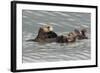 Sea Otters-Ken Archer-Framed Photographic Print