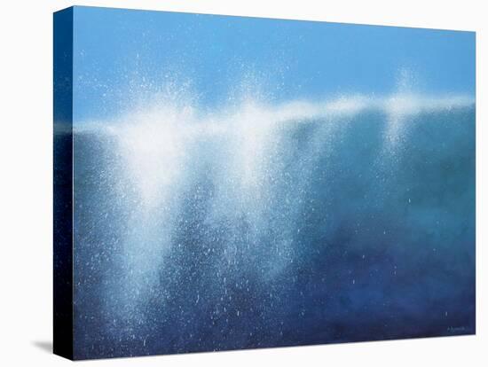 Sea Picture II, 2008-Alan Byrne-Stretched Canvas