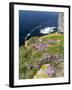 Sea pink at the Cliffs of Marwick Head, Orkney islands, Scotland.-Martin Zwick-Framed Premium Photographic Print