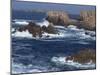 Sea Pounding Rocks on the Coast on the Cote Sauvage on Ouessant Island, Brittany, France, Europe-Thouvenin Guy-Mounted Photographic Print