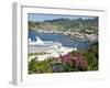 Sea Princess in Kingstown Harbour, St. Vincent, St. Vincent and the Grenadines, Windward Islands-Michael DeFreitas-Framed Photographic Print