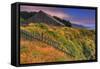 Sea Ranch Barn-Vincent James-Framed Stretched Canvas