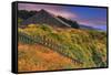 Sea Ranch Barn-Vincent James-Framed Stretched Canvas