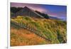 Sea Ranch Barn-Vincent James-Framed Photographic Print