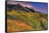 Sea Ranch Barn-Vincent James-Framed Stretched Canvas