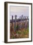 Sea Ranch Fence-Vincent James-Framed Photographic Print