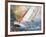 Sea Regatta At A Gale-balaikin2009-Framed Art Print
