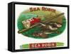 Sea Robin Brand Cigar Box Label, Fishing-Lantern Press-Framed Stretched Canvas