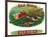 Sea Robin Brand Cigar Box Label, Fishing-Lantern Press-Framed Art Print