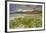 Sea rocket growing on the Strand at Derrynane House, Ring of Kerry, County Kerry, Munster, Republic-Nigel Hicks-Framed Photographic Print