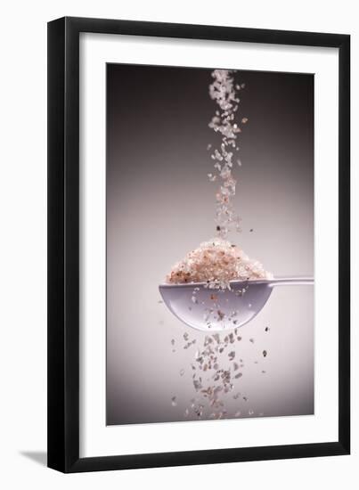 Sea Salt-Steve Gadomski-Framed Premium Photographic Print