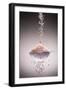 Sea Salt-Steve Gadomski-Framed Premium Photographic Print